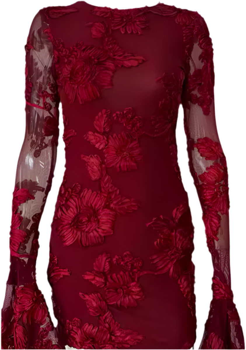 Wine Red Indie Luxe Flower Mesh Sleeve Mini Dress