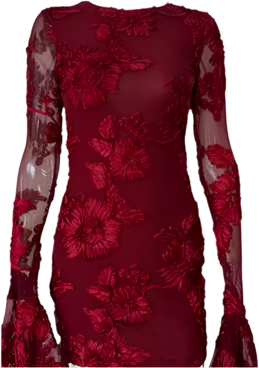 Wine Red Indie Luxe Flower Mesh Sleeve Mini Dress