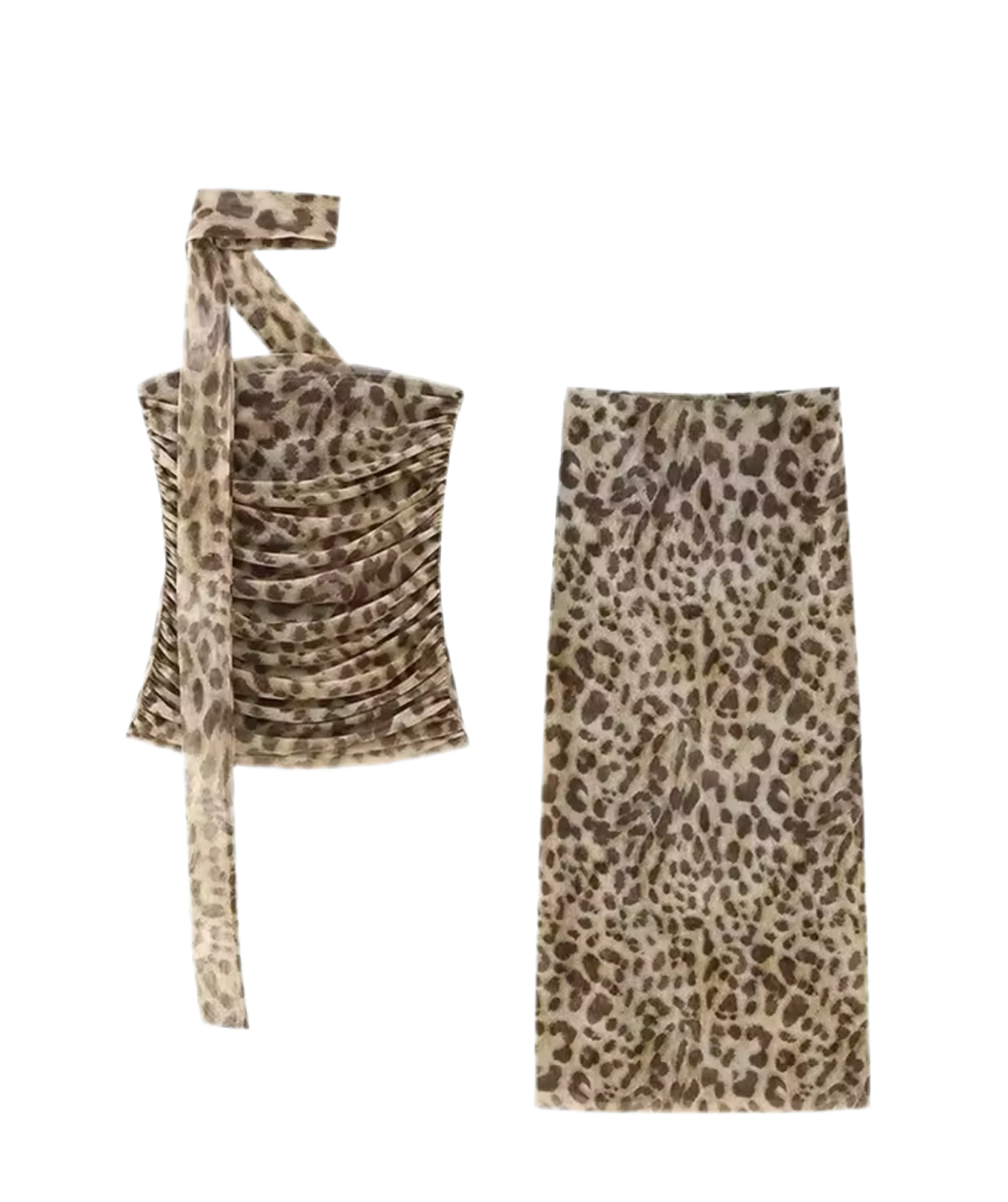 Tiana Leopard Two Piece Set