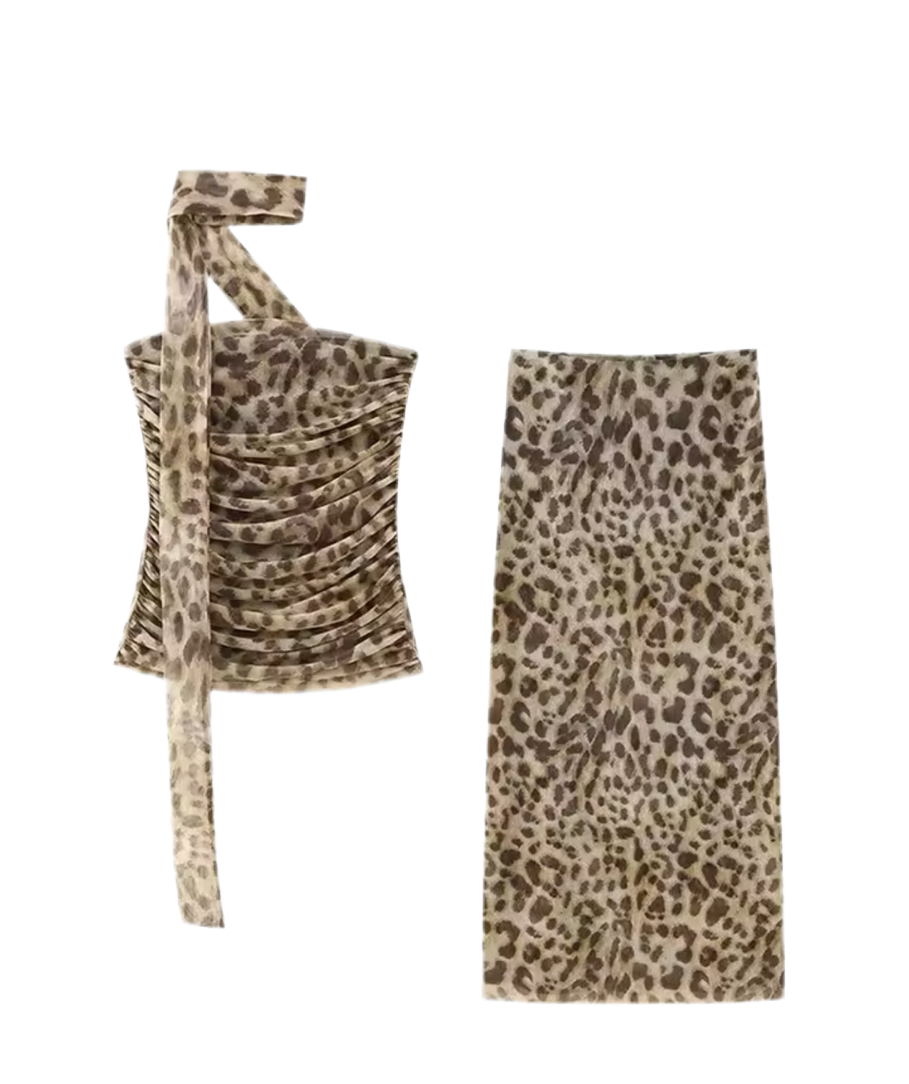Tiana Leopard Two Piece Set