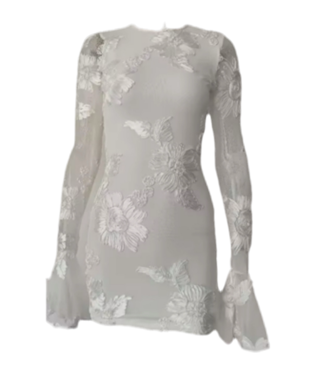 Ivory Indie Luxe Flower Mesh Sleeve Mini Dress