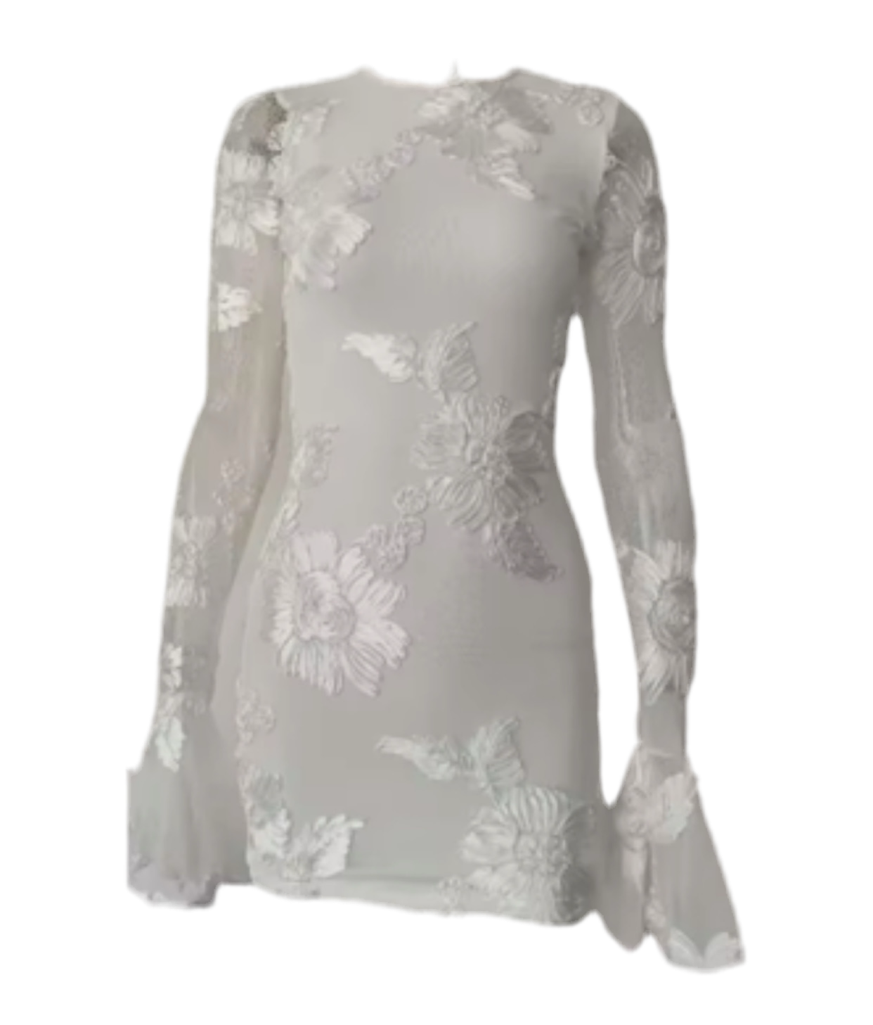 Ivory Indie Luxe Flower Mesh Sleeve Mini Dress