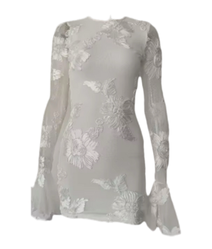Ivory Indie Luxe Flower Mesh Sleeve Mini Dress
