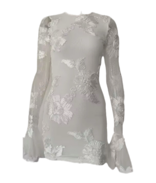 Ivory Indie Luxe Flower Mesh Sleeve Mini Dress