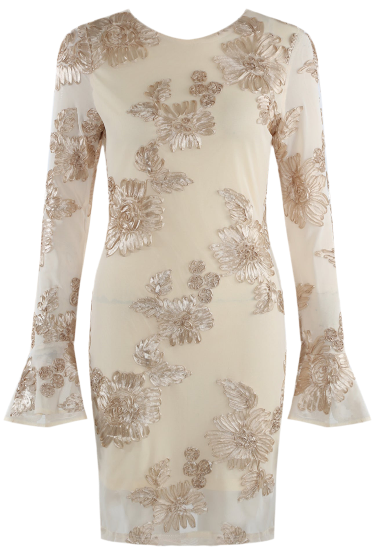 Beige Indie Luxe Flower Mesh Sleeve Mini Dress