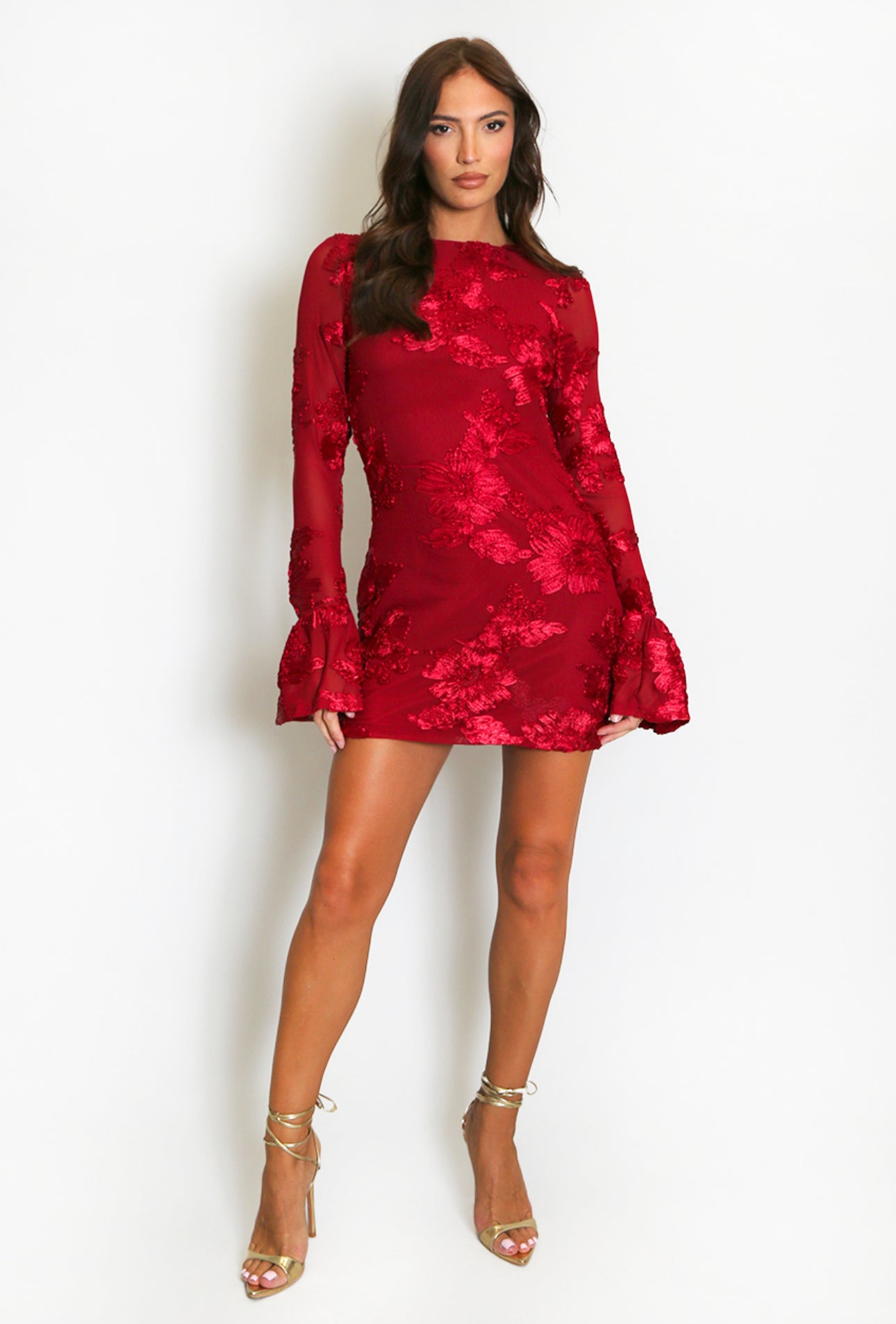 Wine Red Indie Luxe Flower Mesh Sleeve Mini Dress